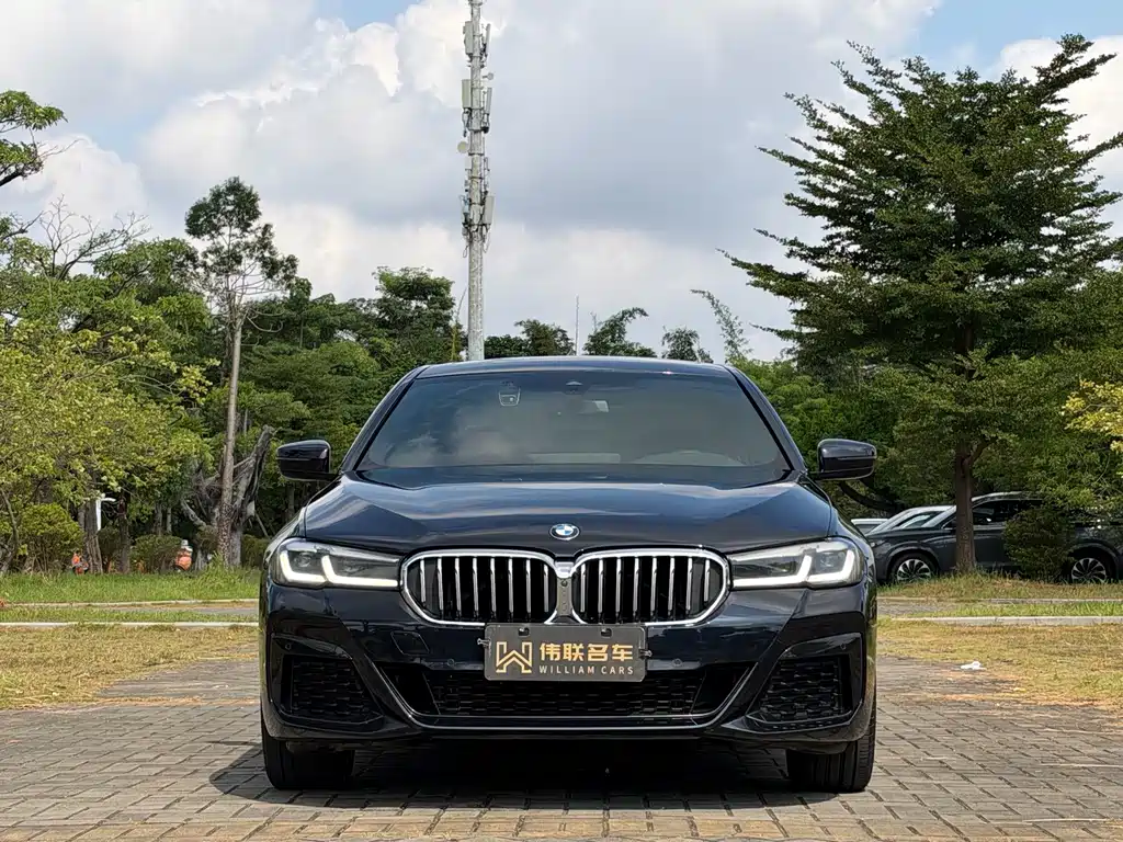 BMW 5 Series — миниатюра 2