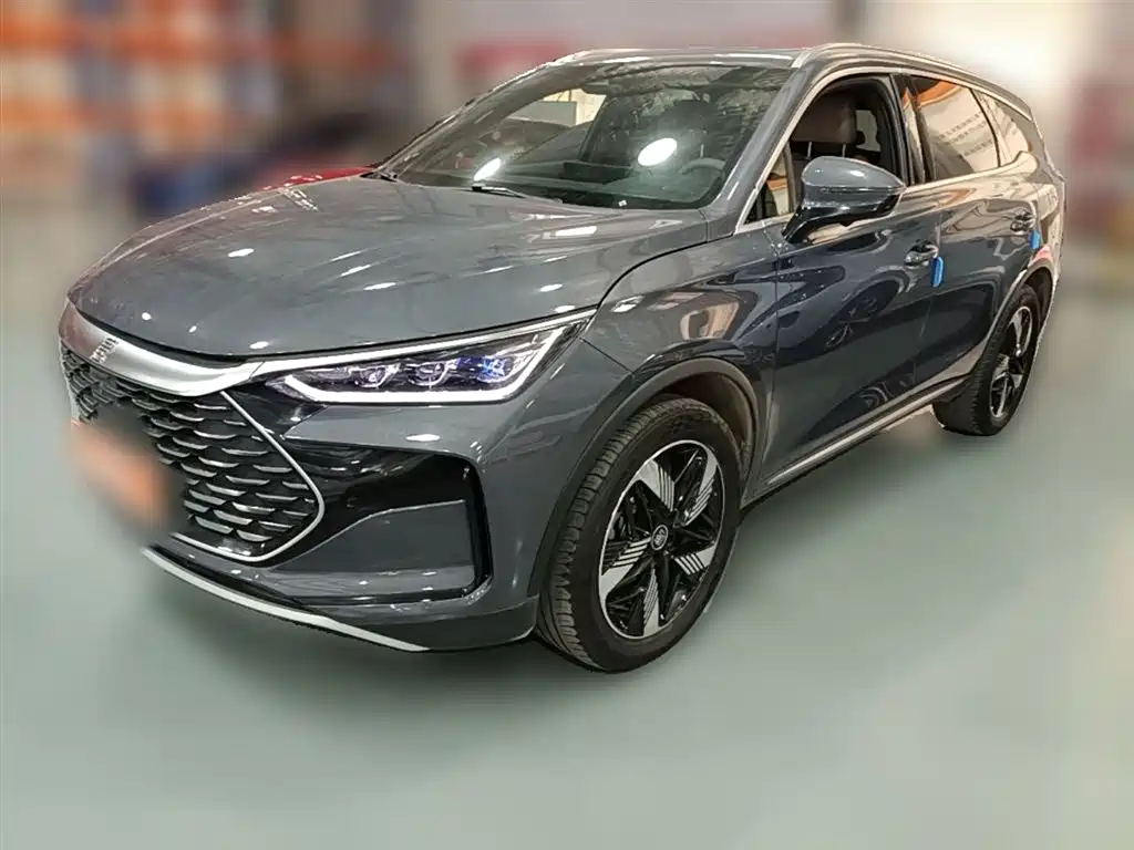 Byd Tang New Energy 2024