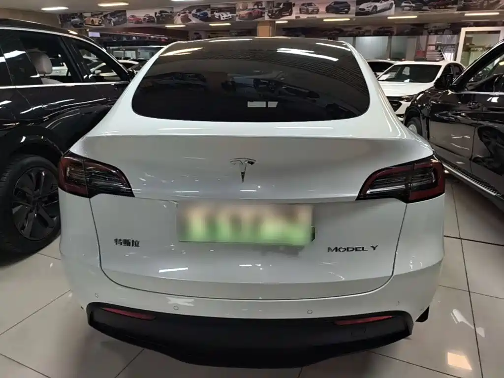 Tesla Model Y — миниатюра 6