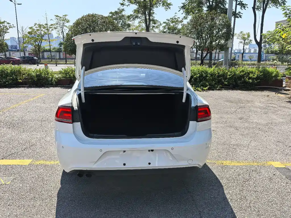 Volkswagen Lamando — миниатюра 17