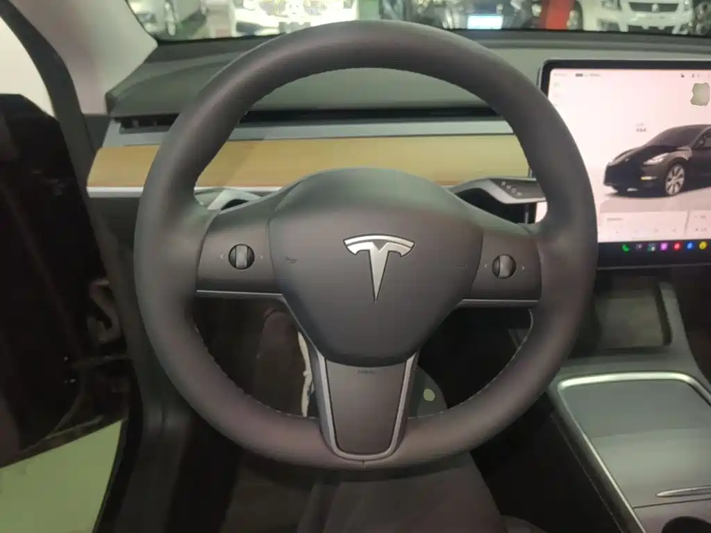 Tesla Model Y — миниатюра 11