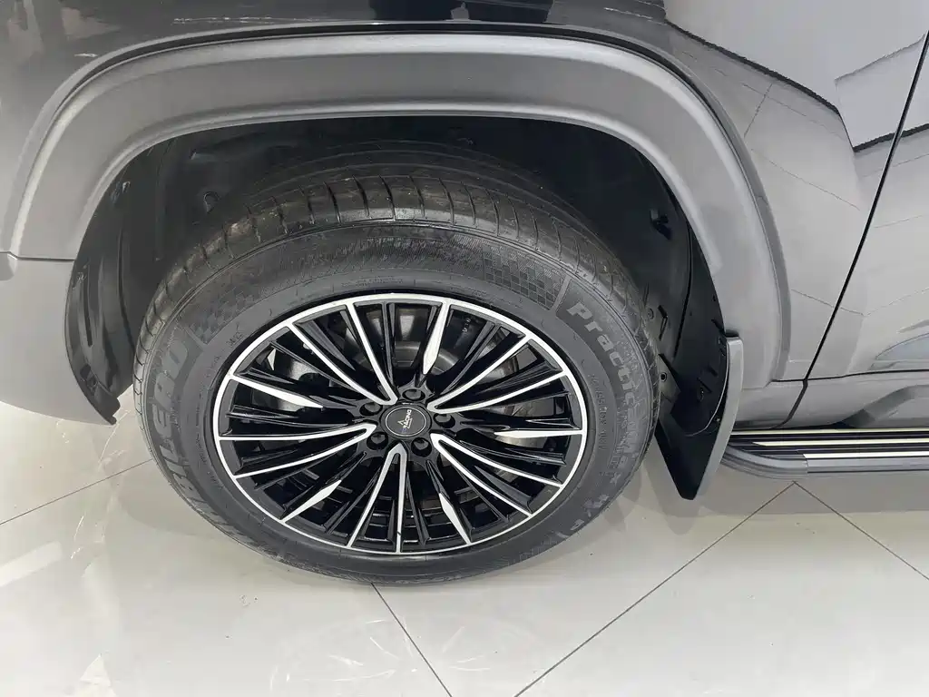 HAVAL RAPTORS NEW ENERGY