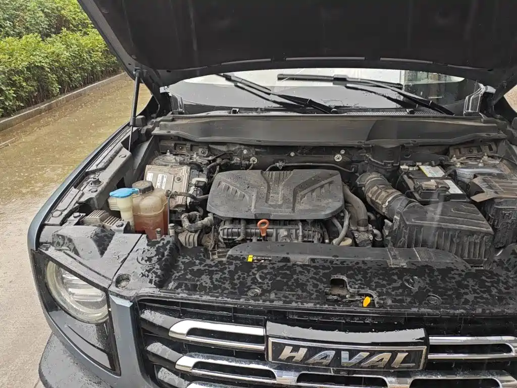 Haval Big Dog — миниатюра 19