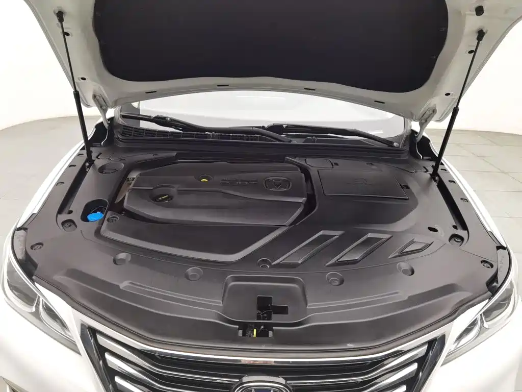 Changan Ruicheng CC — миниатюра 6
