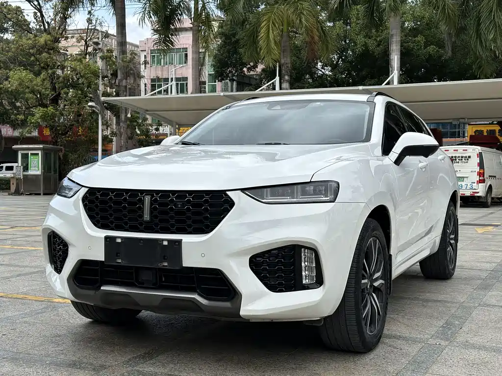 WEI PAI WEI BRAND VV7