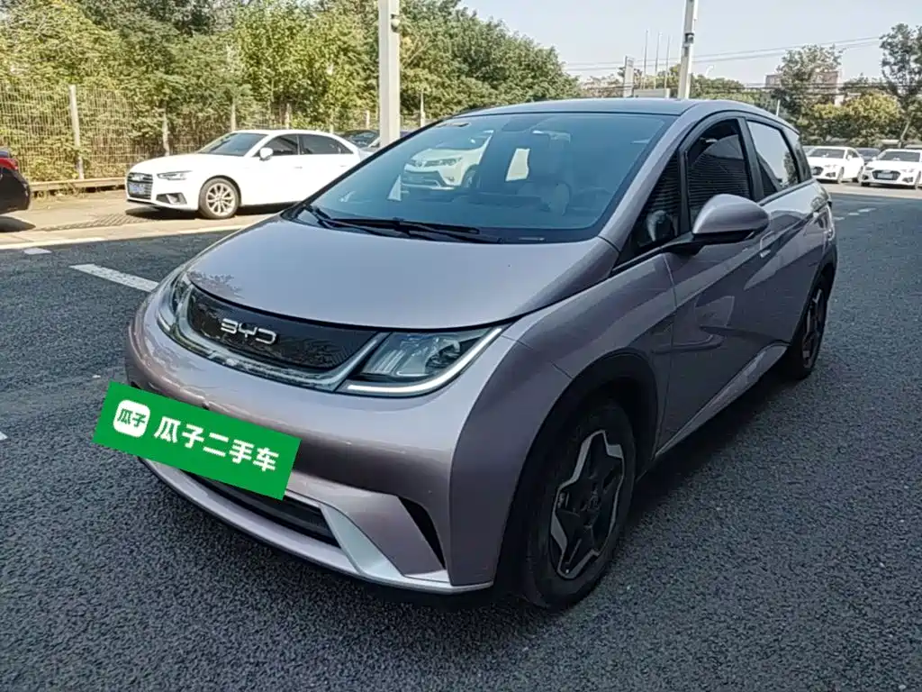 BYD Dolphin — миниатюра 2
