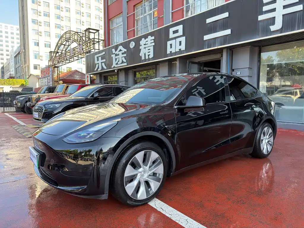 Tesla Model Y — миниатюра 2