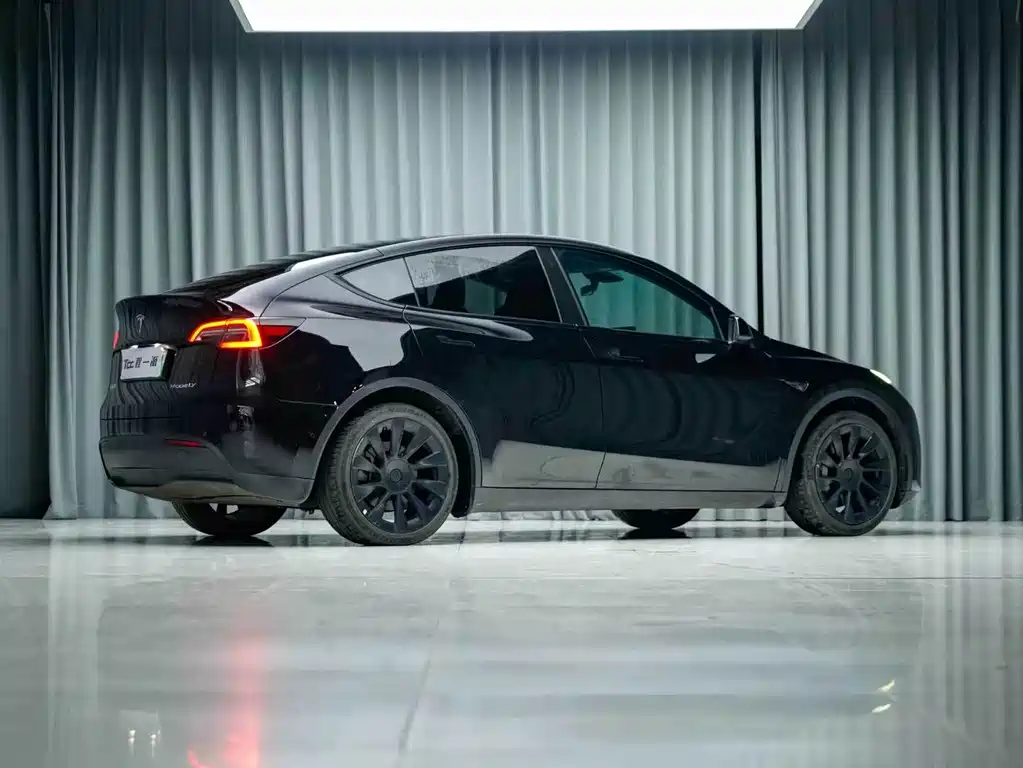 Tesla Model Y — миниатюра 11