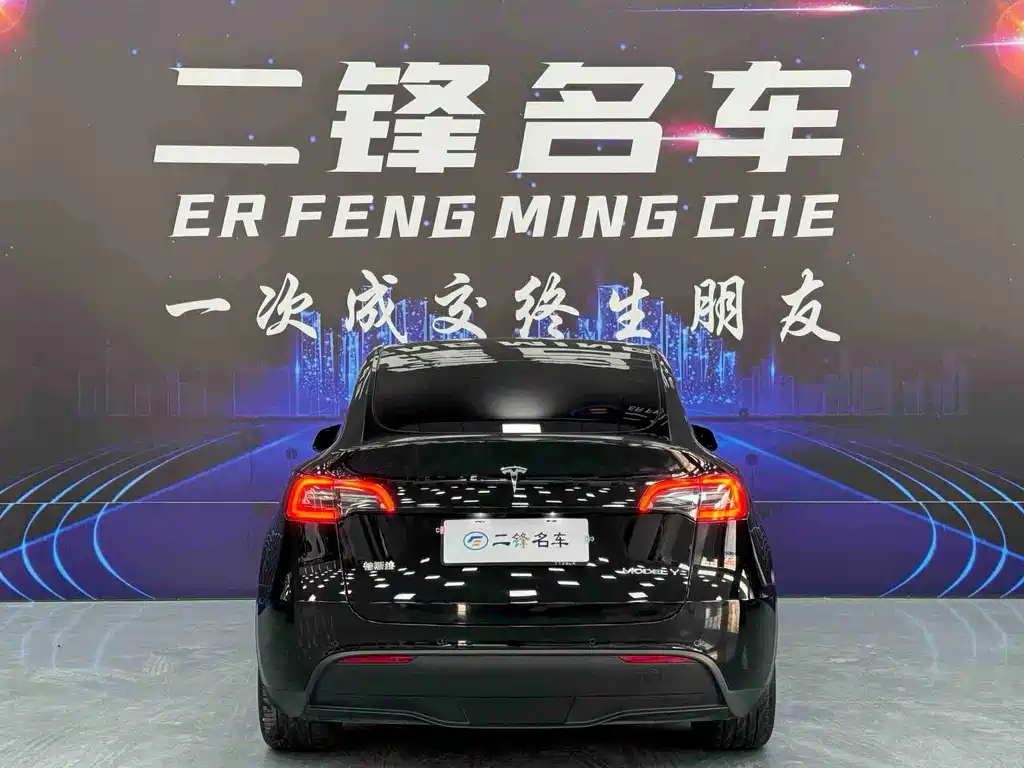 Tesla Model Y — миниатюра 5