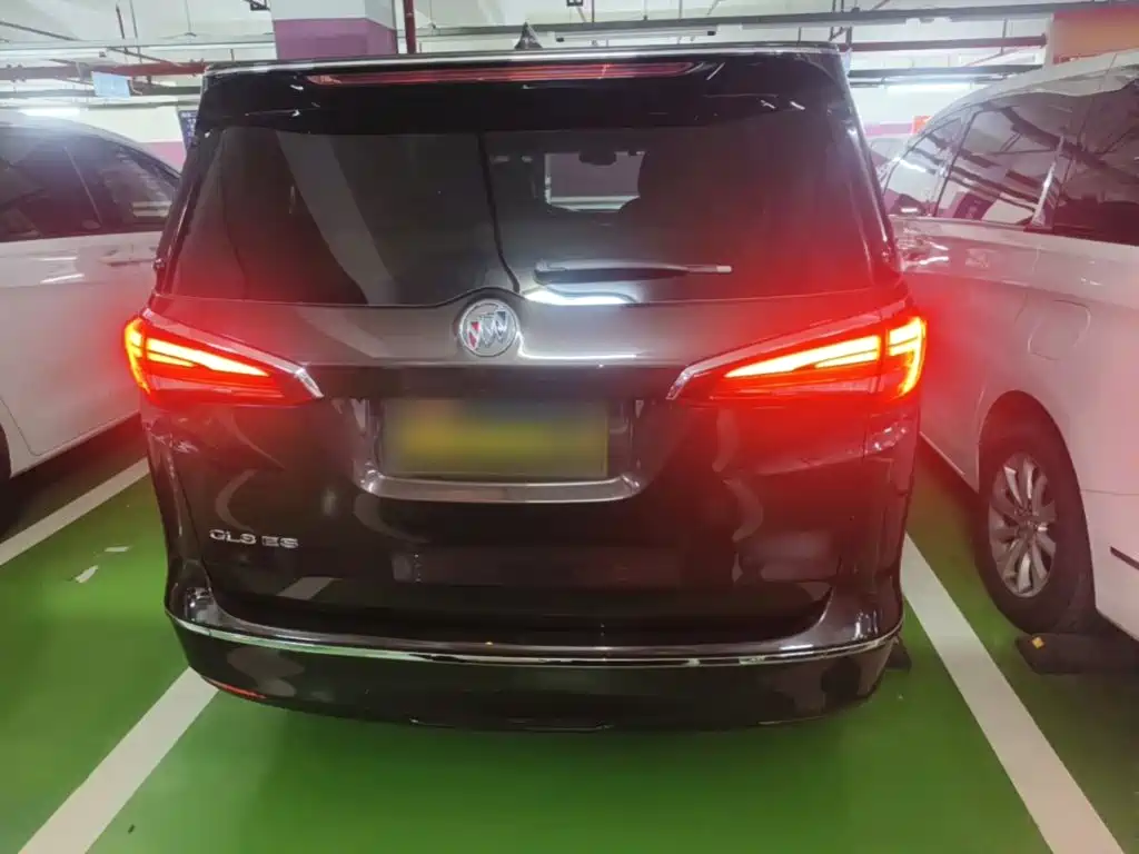 Buick GL8 — миниатюра 6