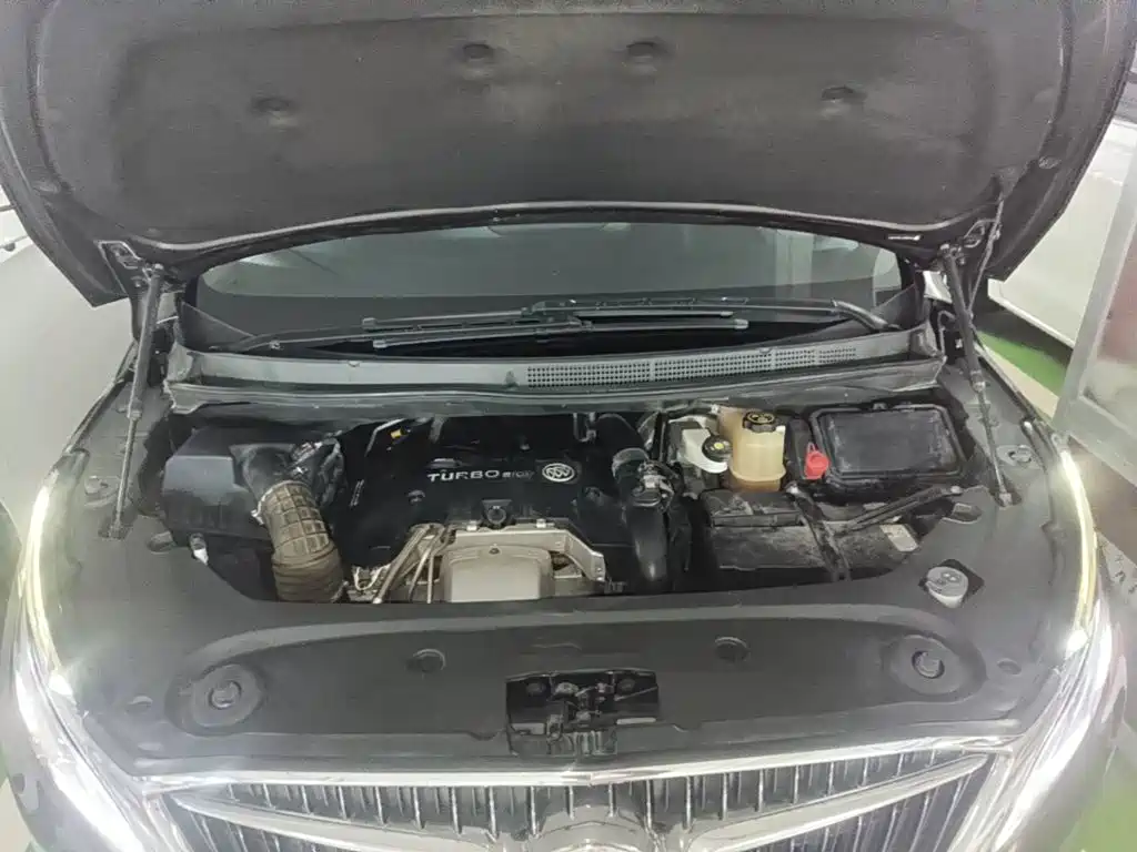 Buick GL8 — миниатюра 20