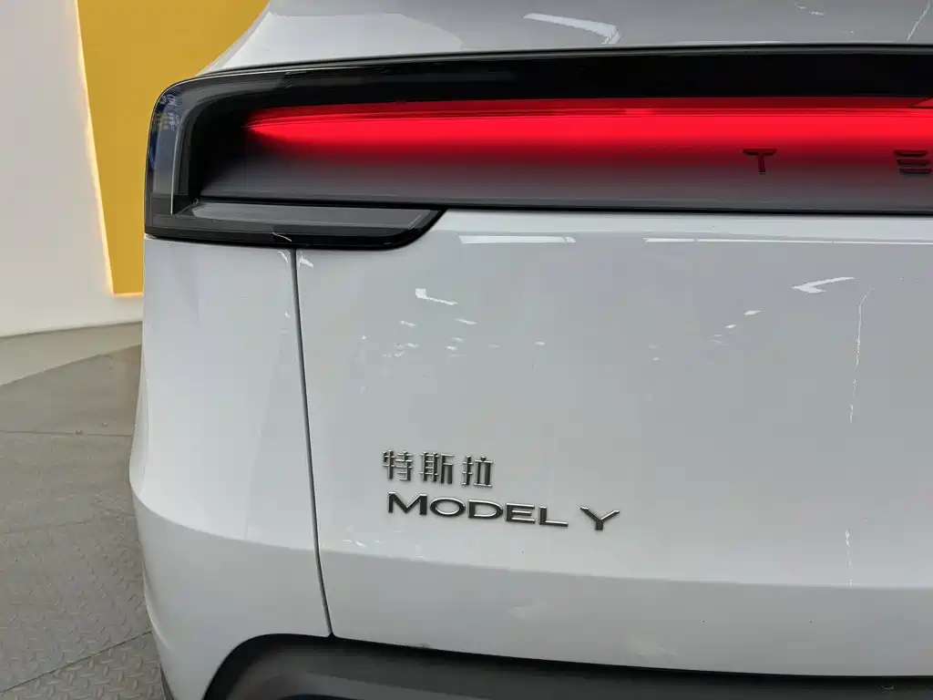 Tesla Model Y — миниатюра 9