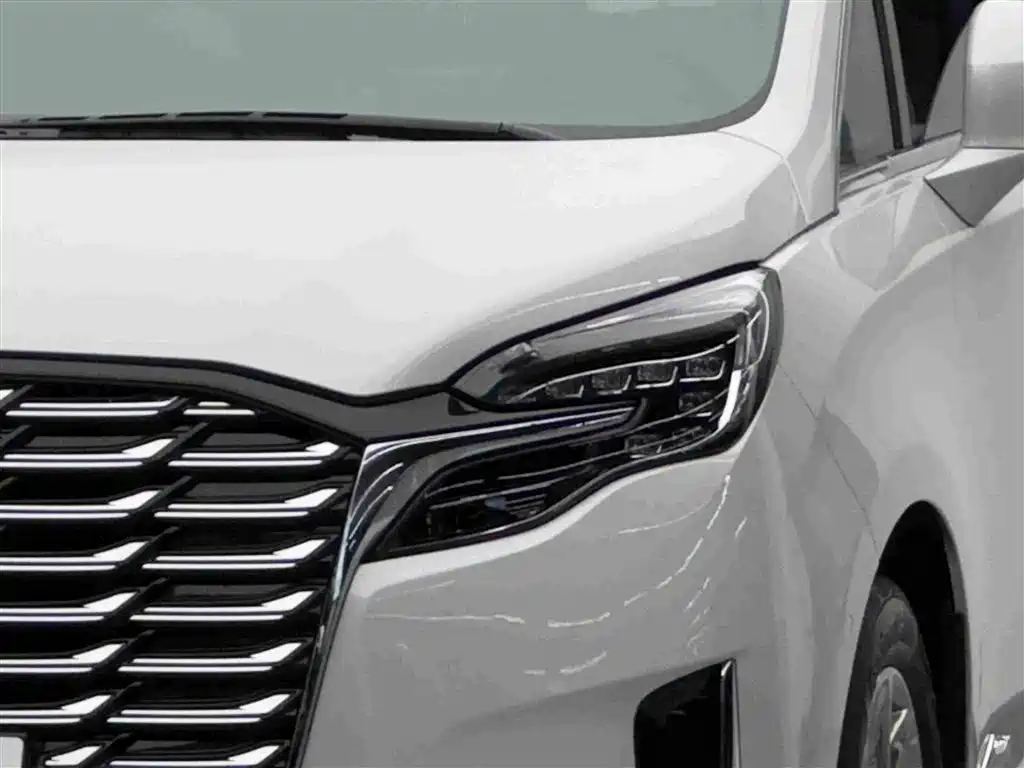Buick GL8 — миниатюра 3