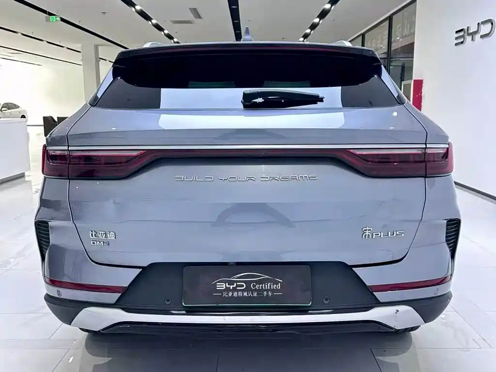 BYD PLUS New Energy — миниатюра 3