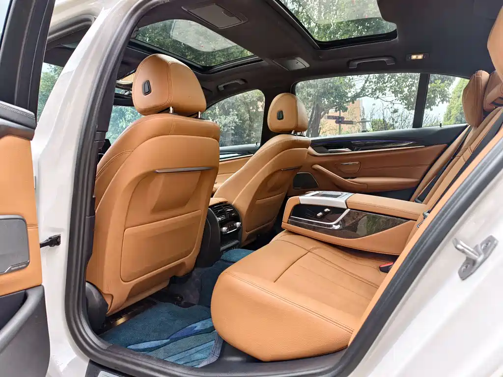 BMW 5 Series 5 2020 530Li Premium M Sport