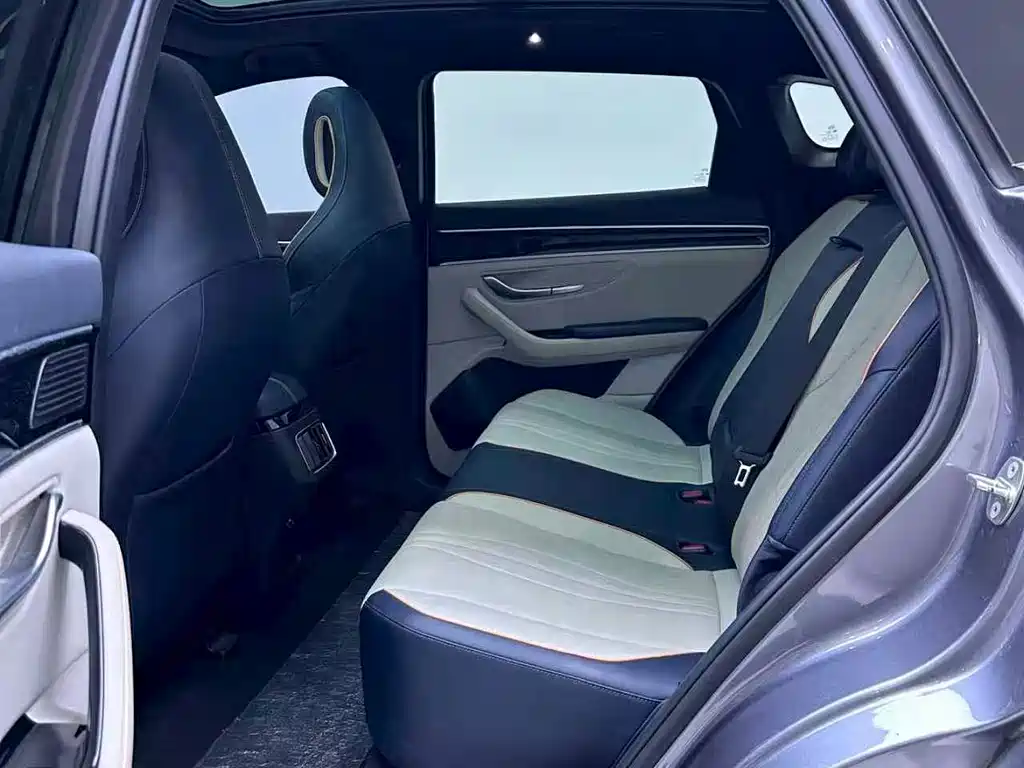 BYD PLUS New Energy — миниатюра 11