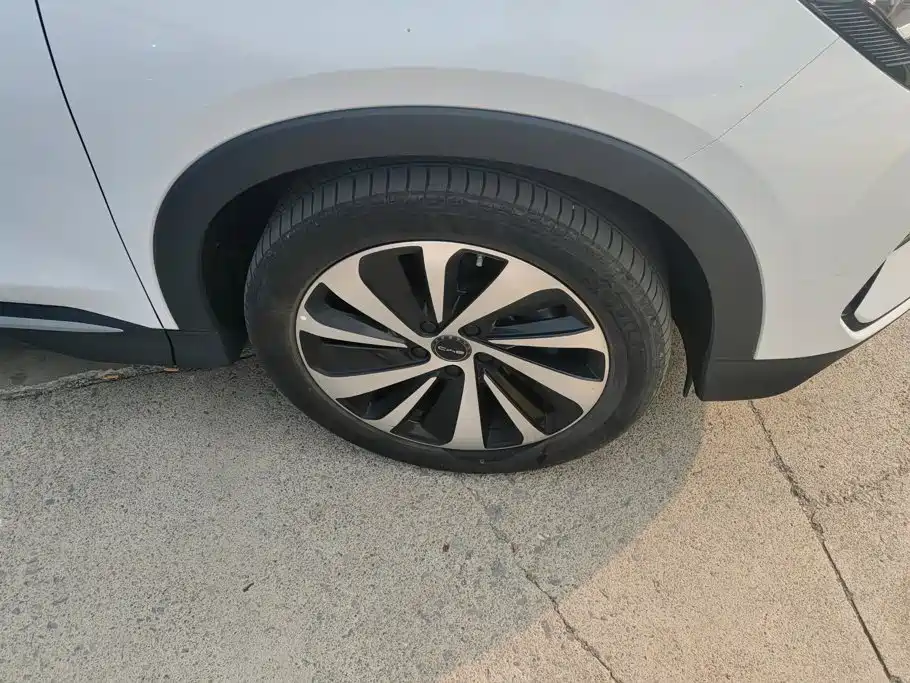 BYD PLUS New Energy — миниатюра 6