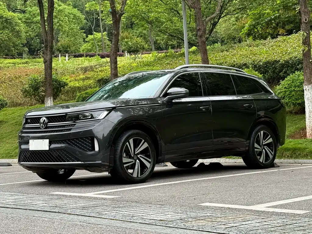 Volkswagen Tavendor — миниатюра 2