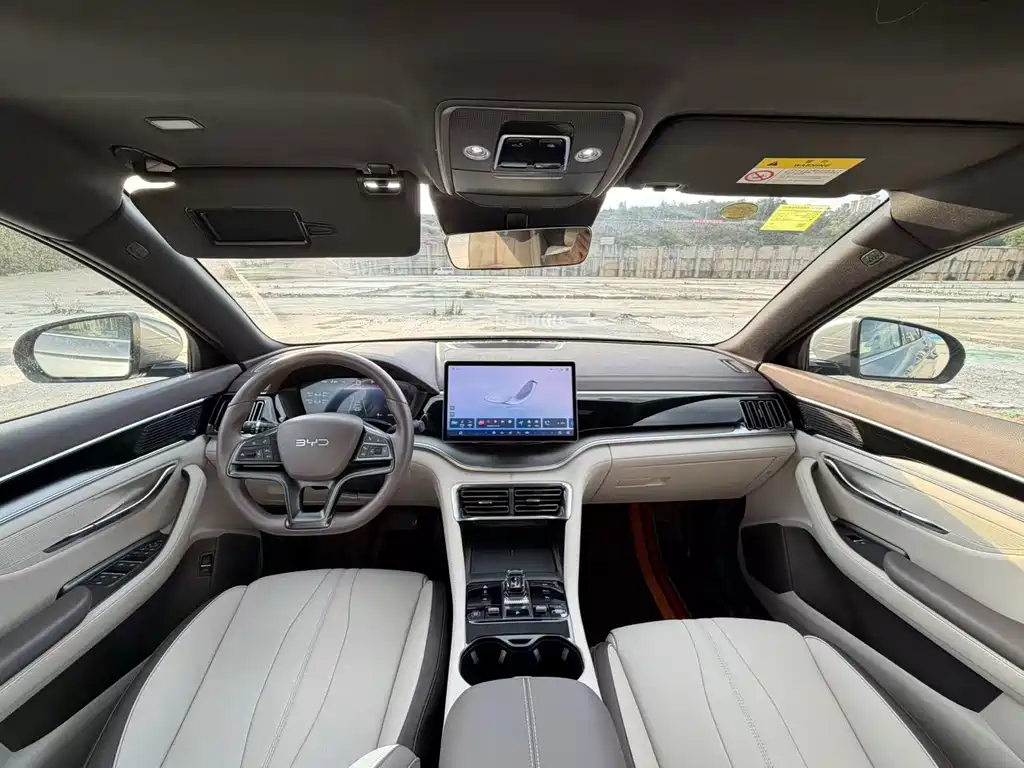 BYD PLUS New Energy — миниатюра 5