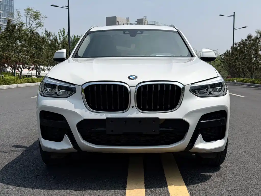 BMW X3 — миниатюра 2
