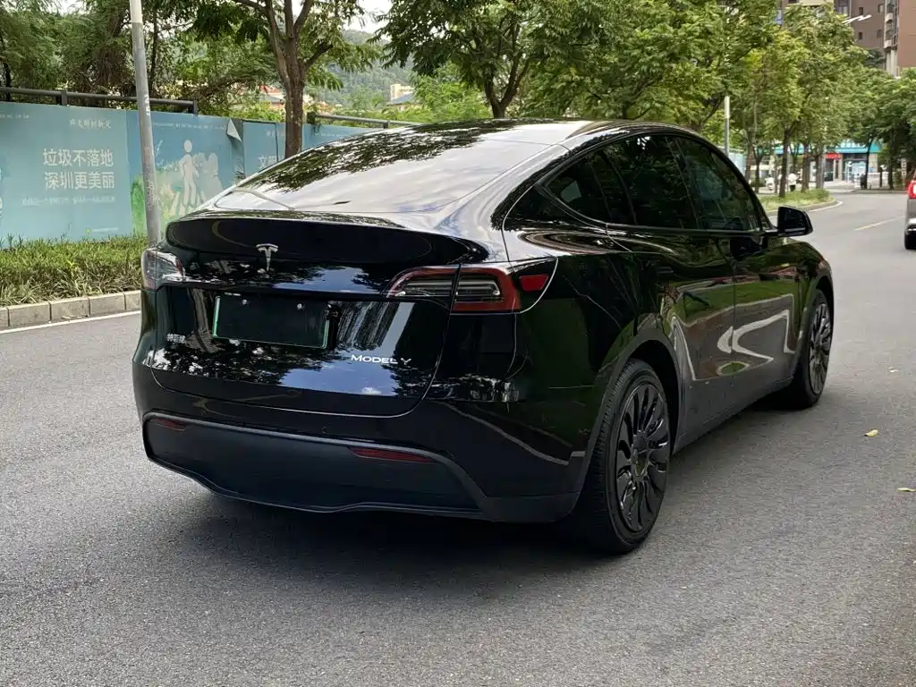 Tesla Model Y — фотографии объявления, Фото 3