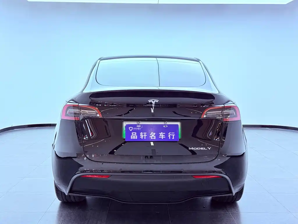 Tesla Model Y — миниатюра 5
