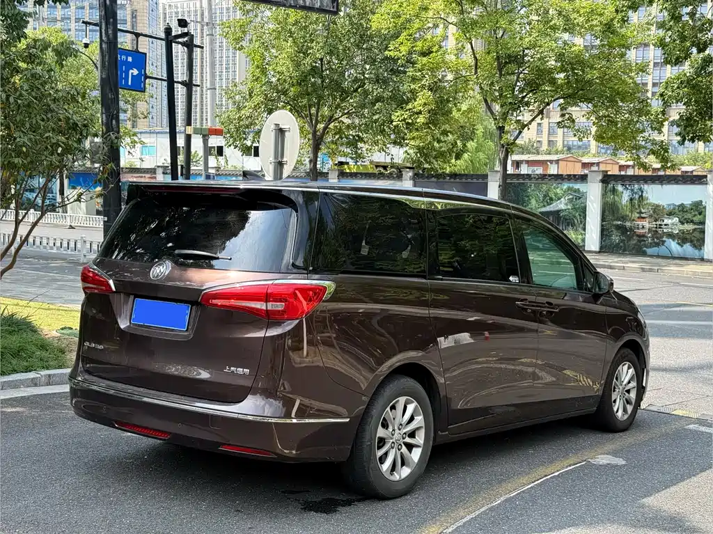 Buick GL8 — миниатюра 16