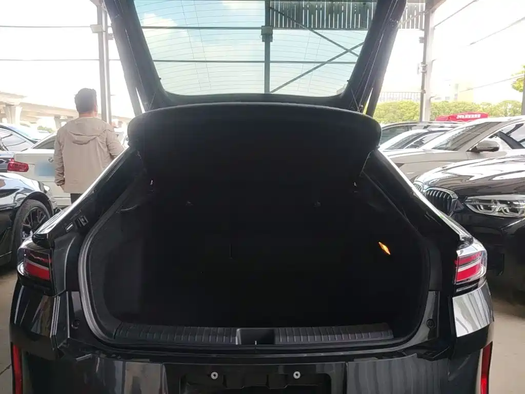 Volkswagen Lamando — миниатюра 19