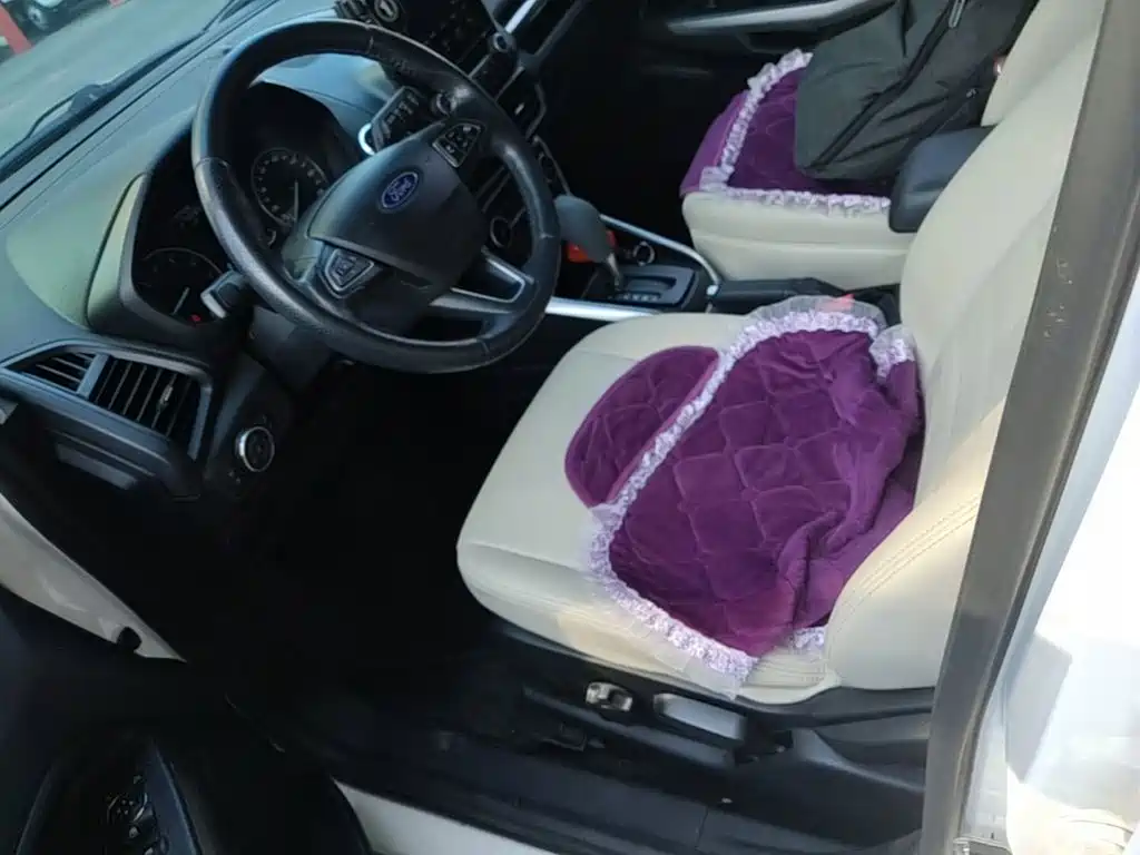 Ford Ecosport — миниатюра 15
