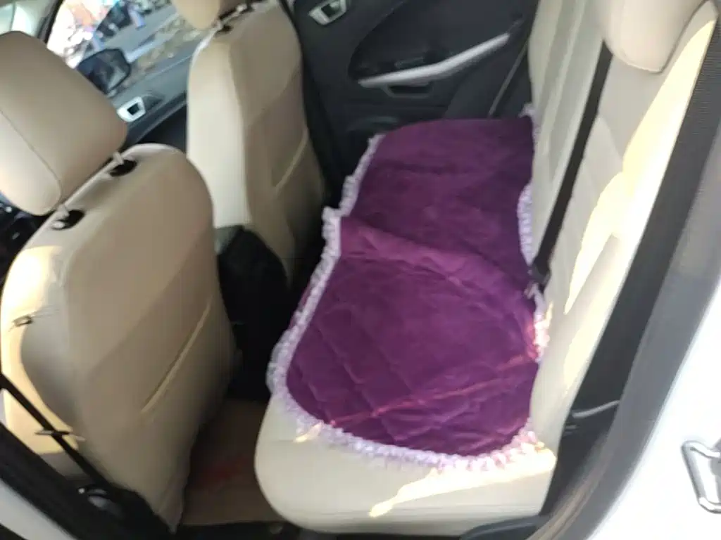 Ford Ecosport — миниатюра 17