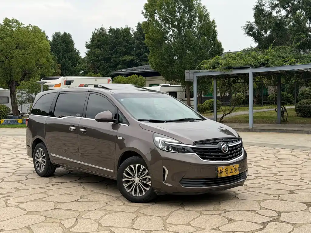 Buick GL8 — миниатюра 3