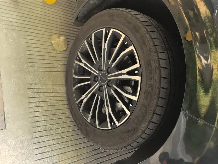 Dongfeng V9 2024 1.5TD 200km Luxury