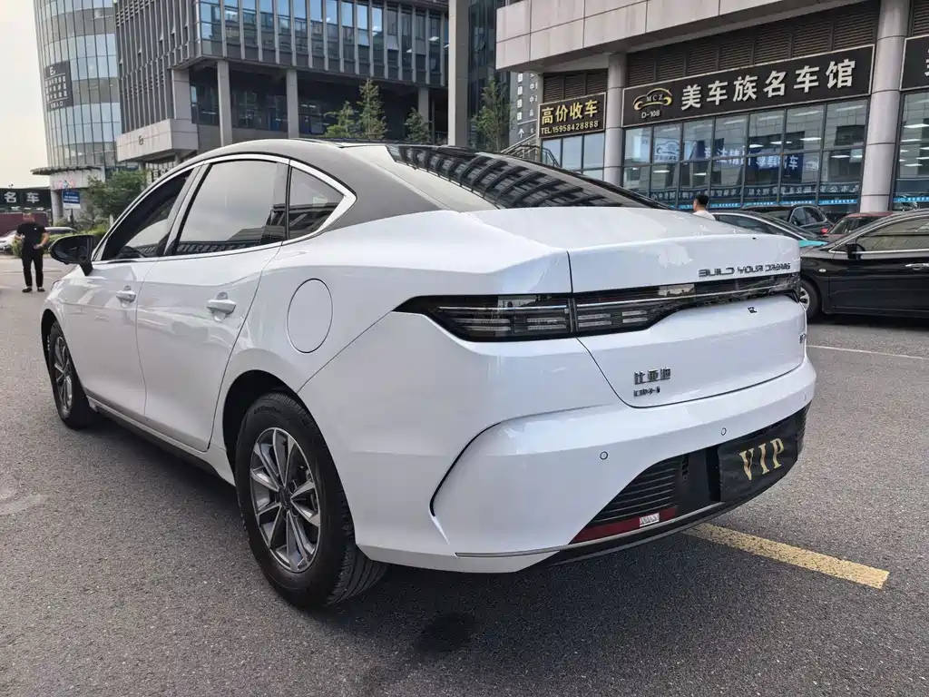 BYD Destroyer 05 2024 DM-i 55KM Luxury