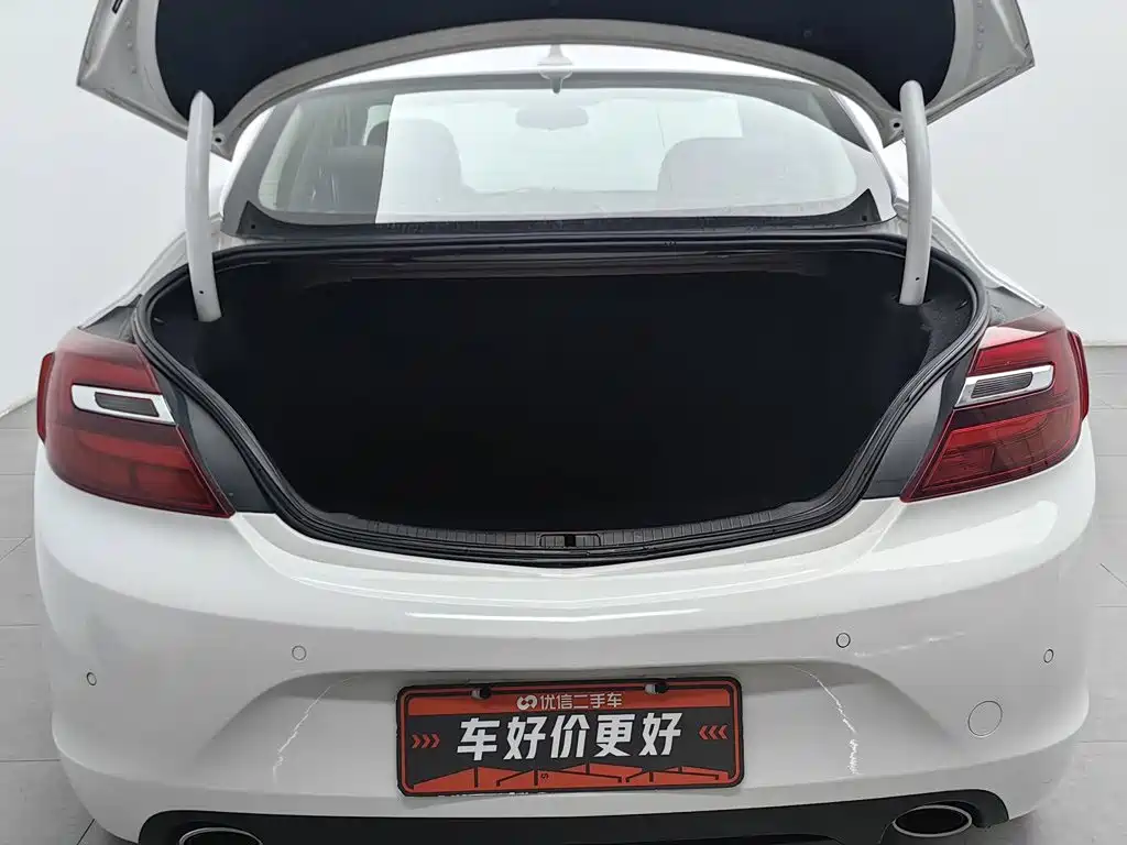Buick Regal — миниатюра 16