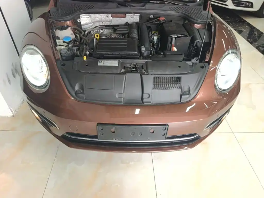 Volkswagen Beetle — миниатюра 20