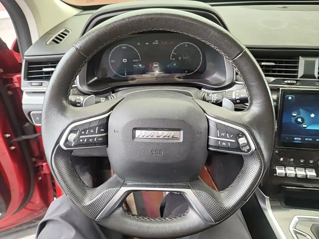 Haval H4 — миниатюра 11