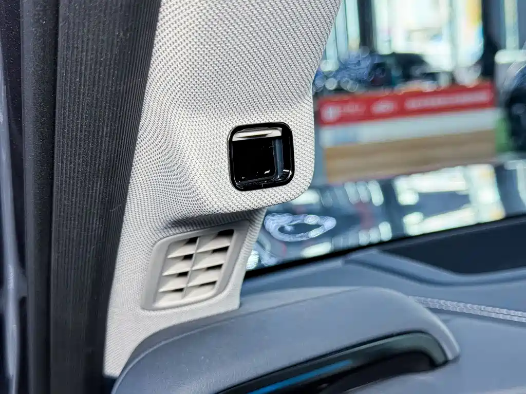 FANG CHENG BAO LEOPARD 5