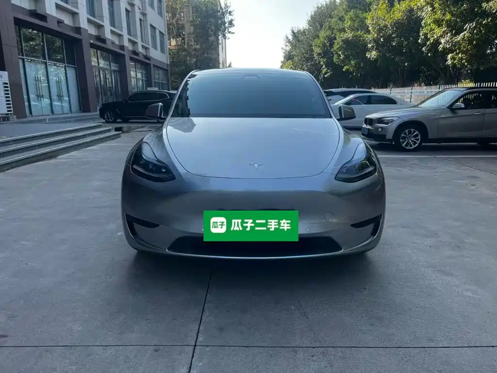 Tesla Model Y — миниатюра 3