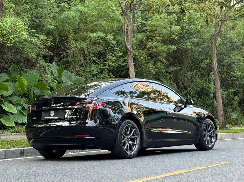 Tesla Model 3 — миниатюра 6