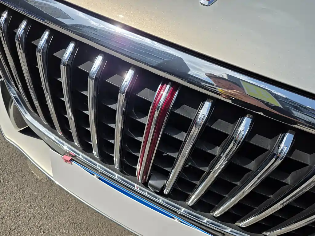 Hongqi HS5 2019 2.0T
