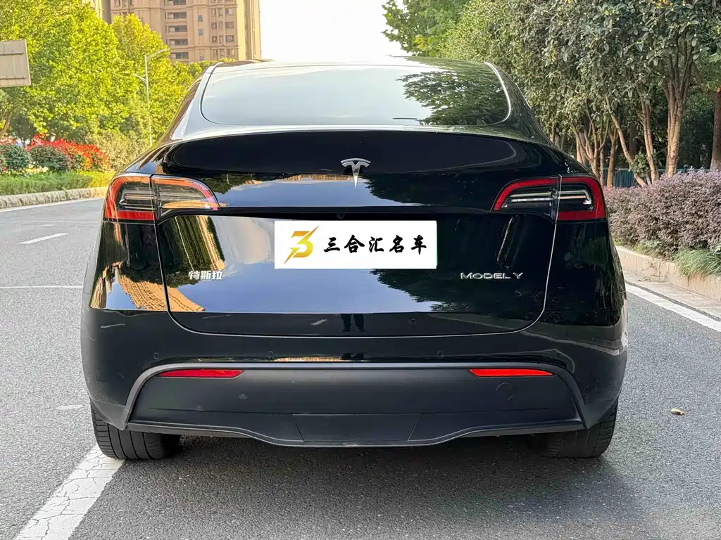 Tesla Model Y — миниатюра 9