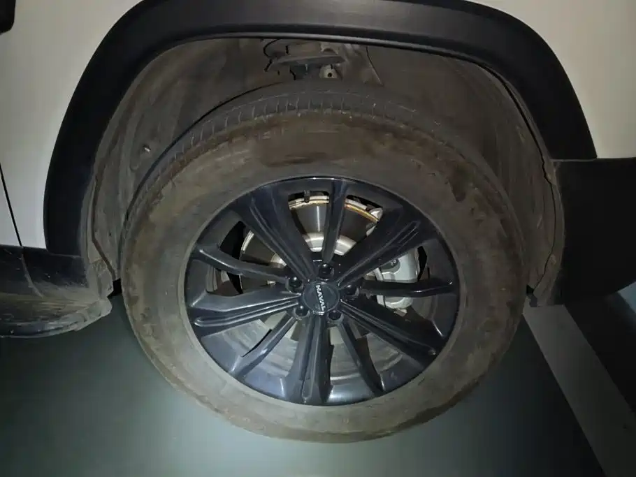 Haval Menglong New Energy — миниатюра 6