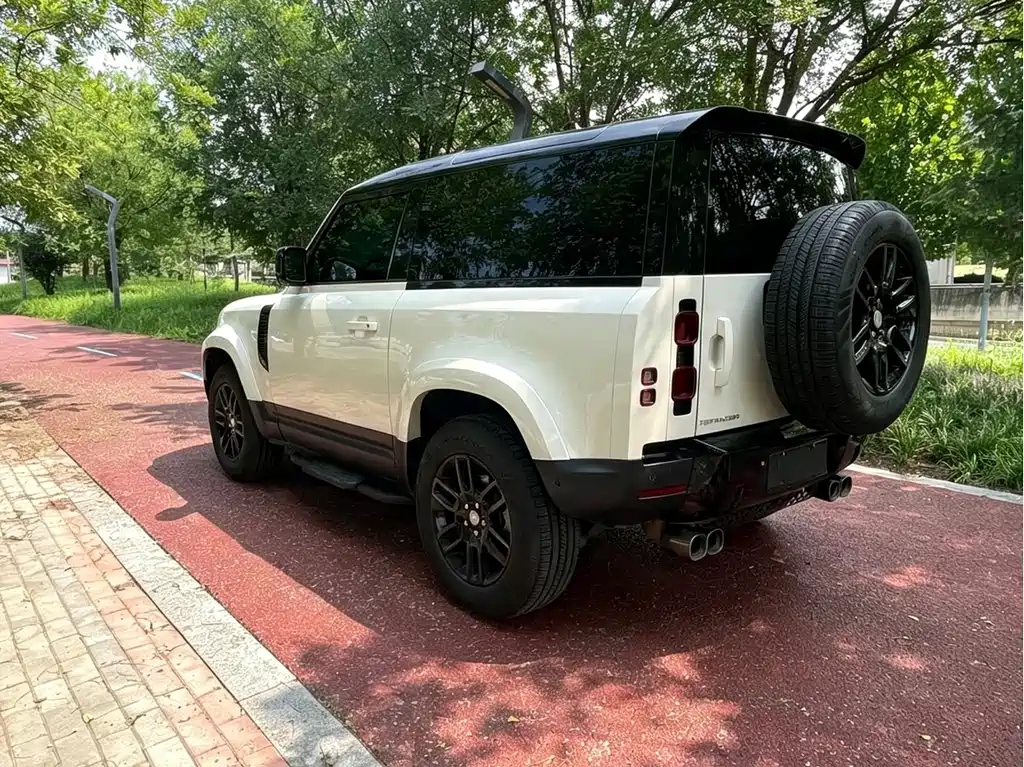Land Rover Defender 90 2.0T P300 S, фото 6