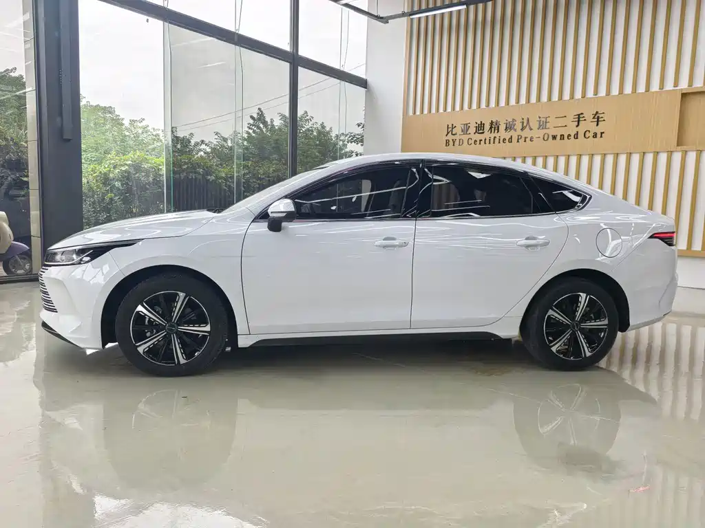 BYD Destroyer 05 — миниатюра 6