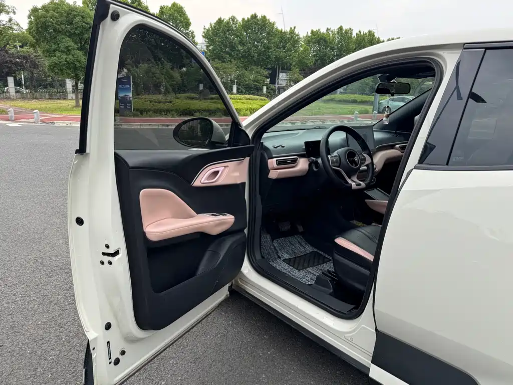BYD Seagull 2024 305km Freedom