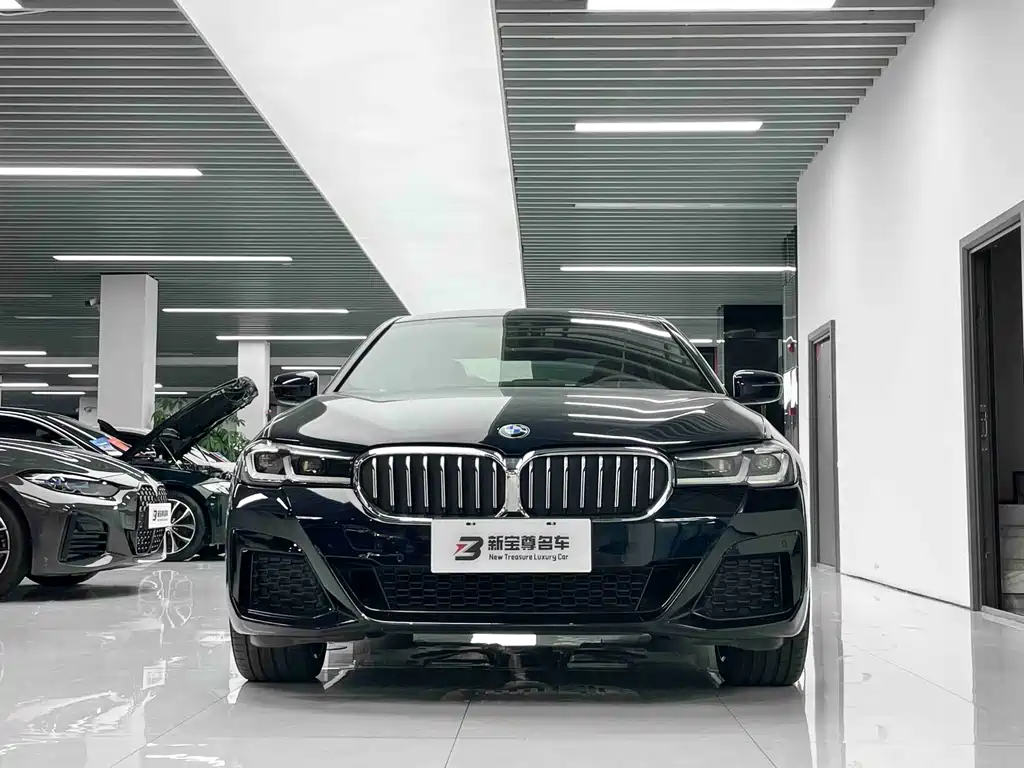 BMW 5 Series — миниатюра 2