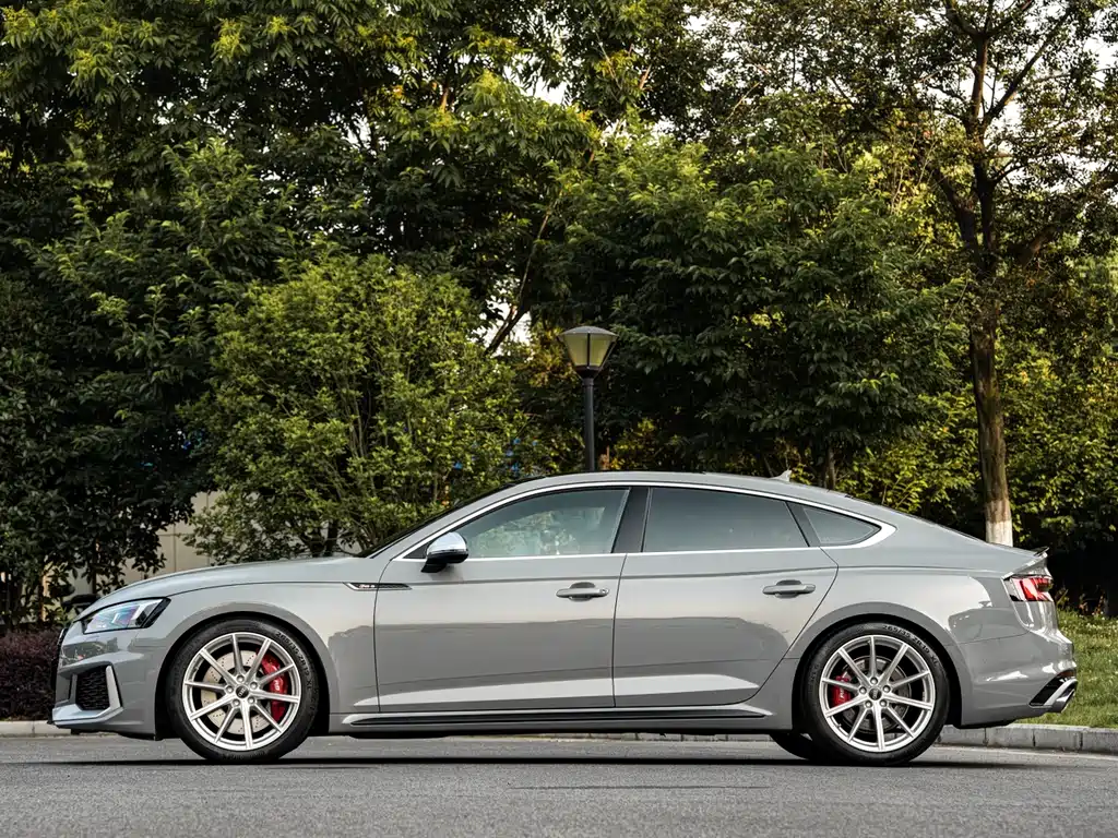Audi RS 5 2019 RS 5 2.9T Sportback