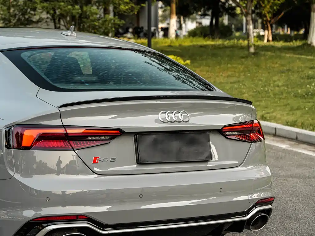 Audi RS 5 2019 RS 5 2.9T Sportback