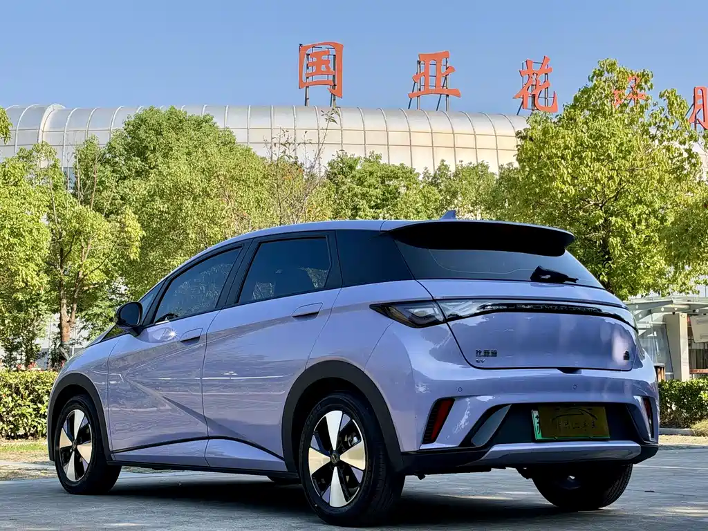BYD Dolphin — миниатюра 7