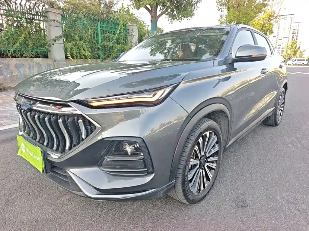 Oshan Oushang X5 — миниатюра 2